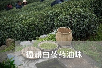 福鼎白茶药油味/2023060815179