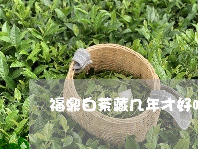 福鼎白茶藏几年才好喝/2023091659493