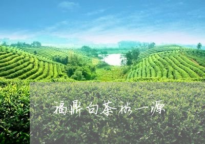 福鼎白茶裕一源/2023060885936