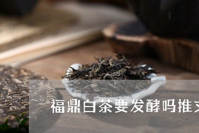 福鼎白茶要发酵吗推文/2023111000472