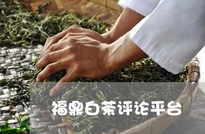 福鼎白茶评论平台/2023070870391