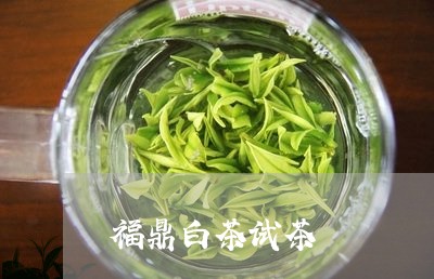 福鼎白茶试茶/2023052228272