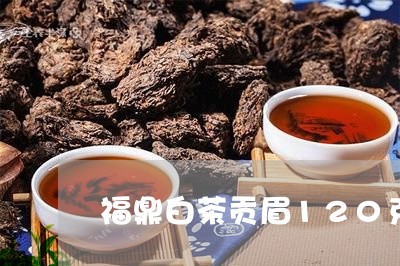 福鼎白茶贡眉120克多少钱/2023062851849