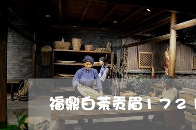 福鼎白茶贡眉1721/2023120832151