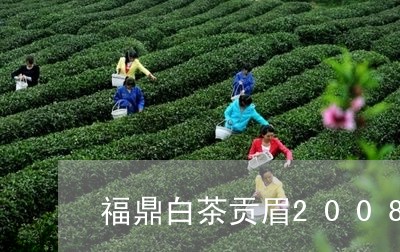 福鼎白茶贡眉2008/2023120859371