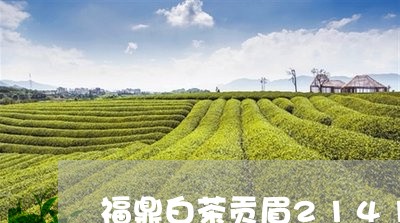 福鼎白茶贡眉2141/2023092082946