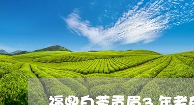 福鼎白茶贡眉3年老白茶饼/2023111563828