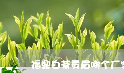 福鼎白茶贡眉哪个厂家的好/2023042726040