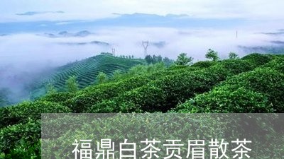 福鼎白茶贡眉散茶/2023090752714