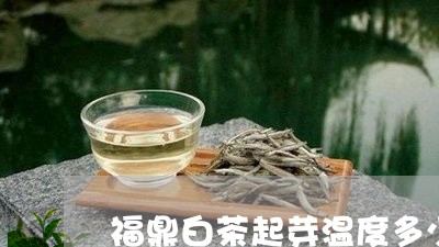 福鼎白茶起芽温度多少/2023091688482