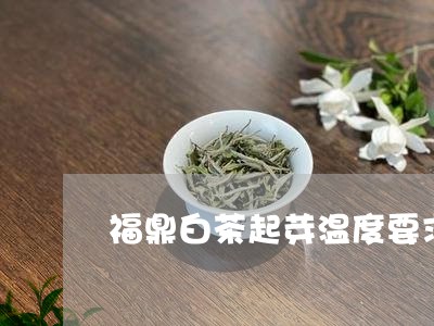 福鼎白茶起芽温度要求/2023120748170