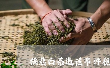 福鼎白茶造谣事件视频大全/2023042707161