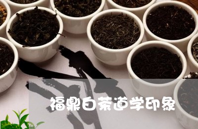 福鼎白茶道学印象/2023090574158