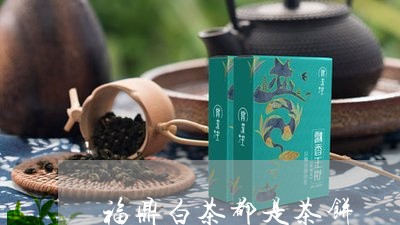 福鼎白茶都是茶饼/2023112605051