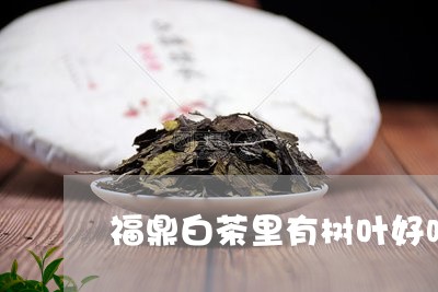 福鼎白茶里有树叶好吗/2023091587372