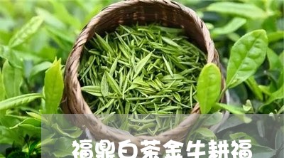 福鼎白茶金牛耕福/2023090564836