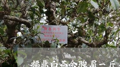 福鼎白茶金骏眉一斤多少钱/2023042731838