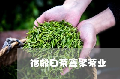 福鼎白茶鑫聚茶业/2023090546037