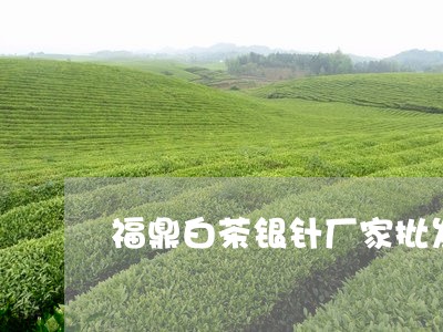 福鼎白茶银针厂家批发/2023120702607