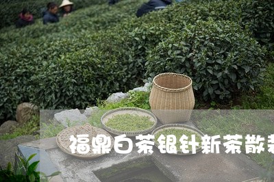 福鼎白茶银针新茶散装价格/2023042781405