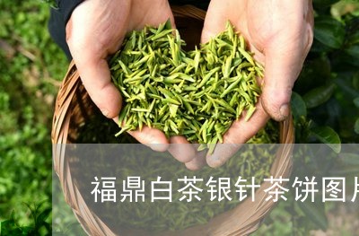 福鼎白茶银针茶饼图片欣赏/2023042712707