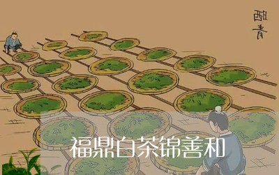 福鼎白茶锦善和/2023060847360