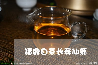 福鼎白茶长寿仙蒲/2023112676049