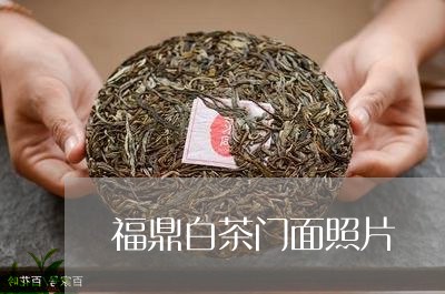 福鼎白茶门面照片/2023112667350