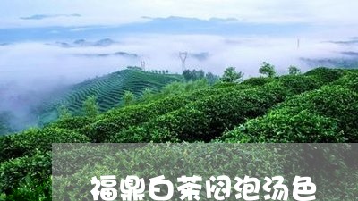 福鼎白茶闷泡汤色/2023062824849