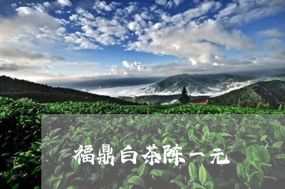 福鼎白茶陈一元/2023112517058