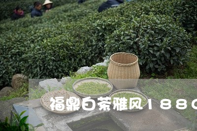 福鼎白茶雅风1880/2023082543858