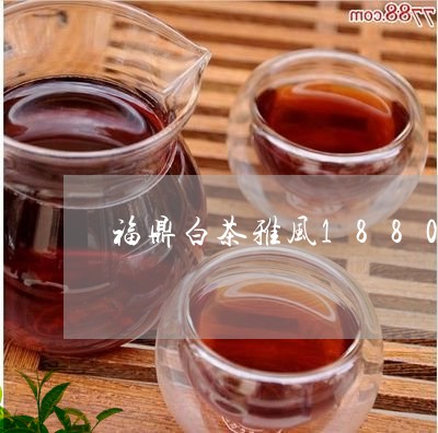 福鼎白茶雅风1880/2023082652738