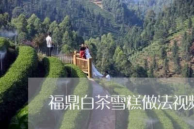 福鼎白茶雪糕做法视频教学/2023110923827