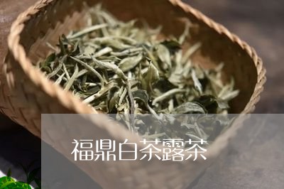 福鼎白茶露茶/2023082682926