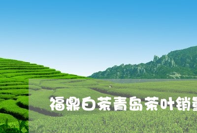 福鼎白茶青岛茶叶销量/2023120828372