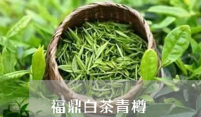 福鼎白茶青樽/2023052299614