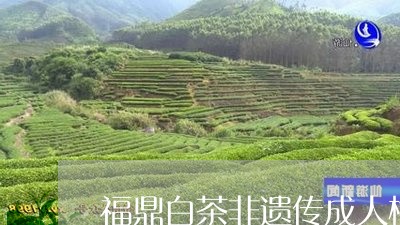 福鼎白茶非遗传成人梅相靖/2023042774737