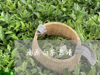 福鼎白茶靠谱/2023052292938