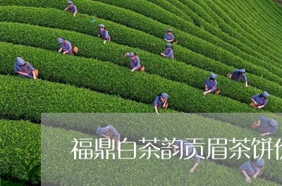 福鼎白茶韵贡眉茶饼价格/2023092513717