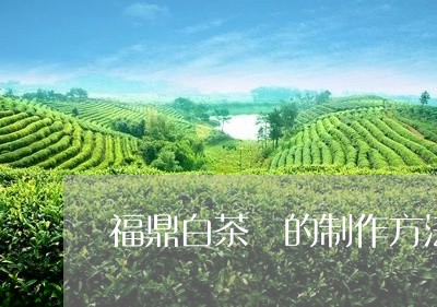 福鼎白茶餅的制作方法/2023120786158