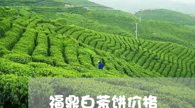 福鼎白茶饼价格/2023060806148