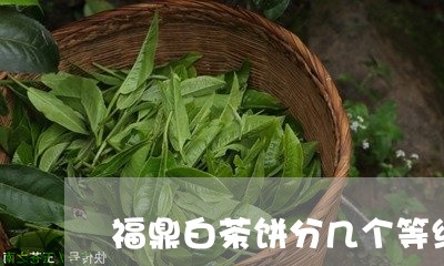 福鼎白茶饼分几个等级/2023120820406