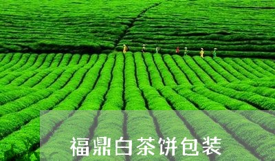 福鼎白茶饼包装/2023060850504