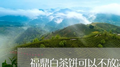 福鼎白茶饼可以不放冰箱吗/2023062782728