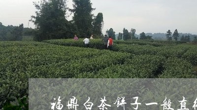 福鼎白茶饼子一般直径多大/2023042640613