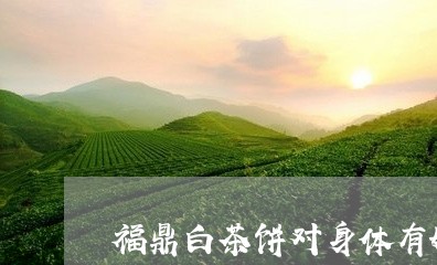 福鼎白茶饼对身体有好处吗/2023042685926