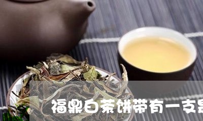 福鼎白茶饼带有一支是什么/2023110997239