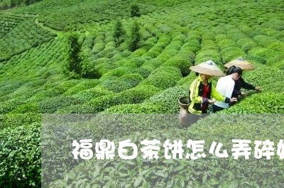 福鼎白茶饼怎么弄碎好喝/2023111525958