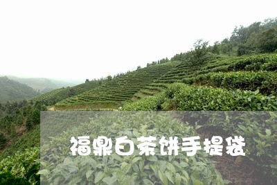 福鼎白茶饼手提袋/2023112522925