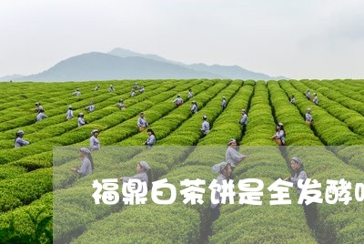 福鼎白茶饼是全发酵吗/2023120649492